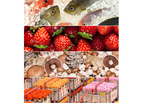perishable (1)